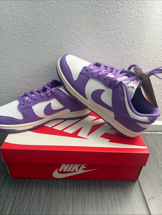 Nike Shoes - Nike Dunk low, next nature